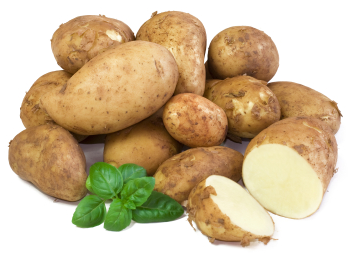 как хранить картошку